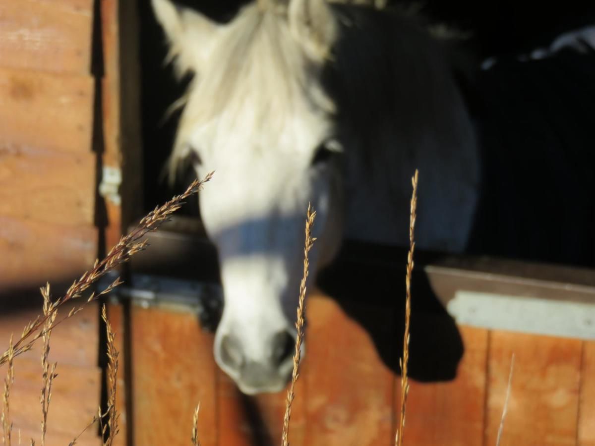 Дома для отпуска Letterfrack Farm Lodge house in Letterfrack village Connemara Леттерфрак