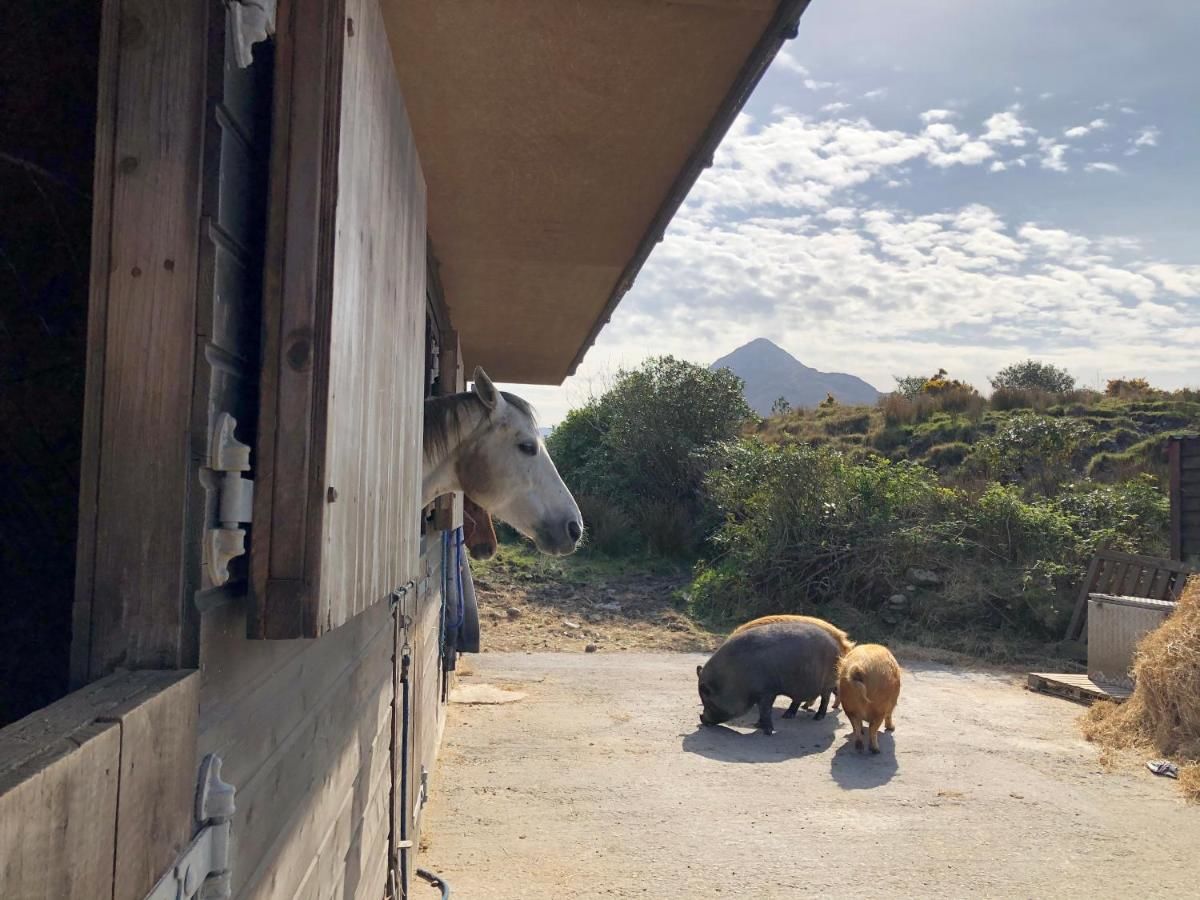 Дома для отпуска Letterfrack Farm Lodge house in Letterfrack village Connemara Леттерфрак-6