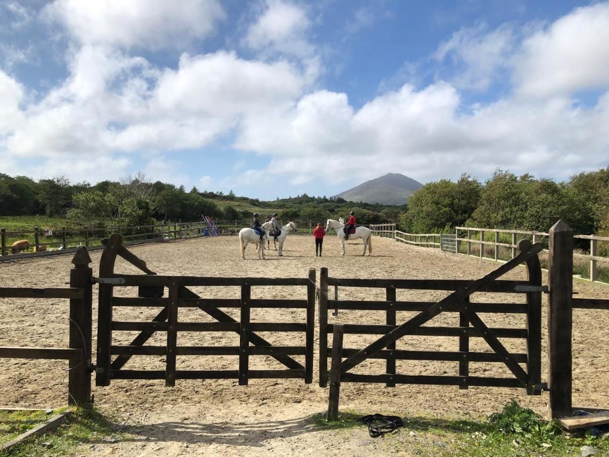 Дома для отпуска Letterfrack Farm Lodge house in Letterfrack village Connemara Леттерфрак-8