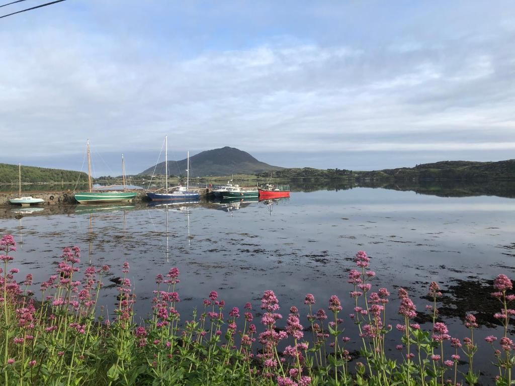 Дома для отпуска Letterfrack Farm Lodge house in Letterfrack village Connemara Леттерфрак