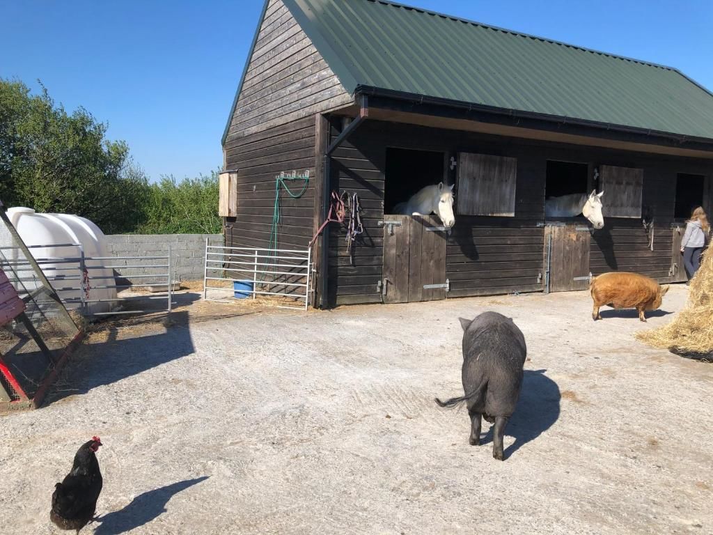 Дома для отпуска Letterfrack Farm Lodge house in Letterfrack village Connemara Леттерфрак-63