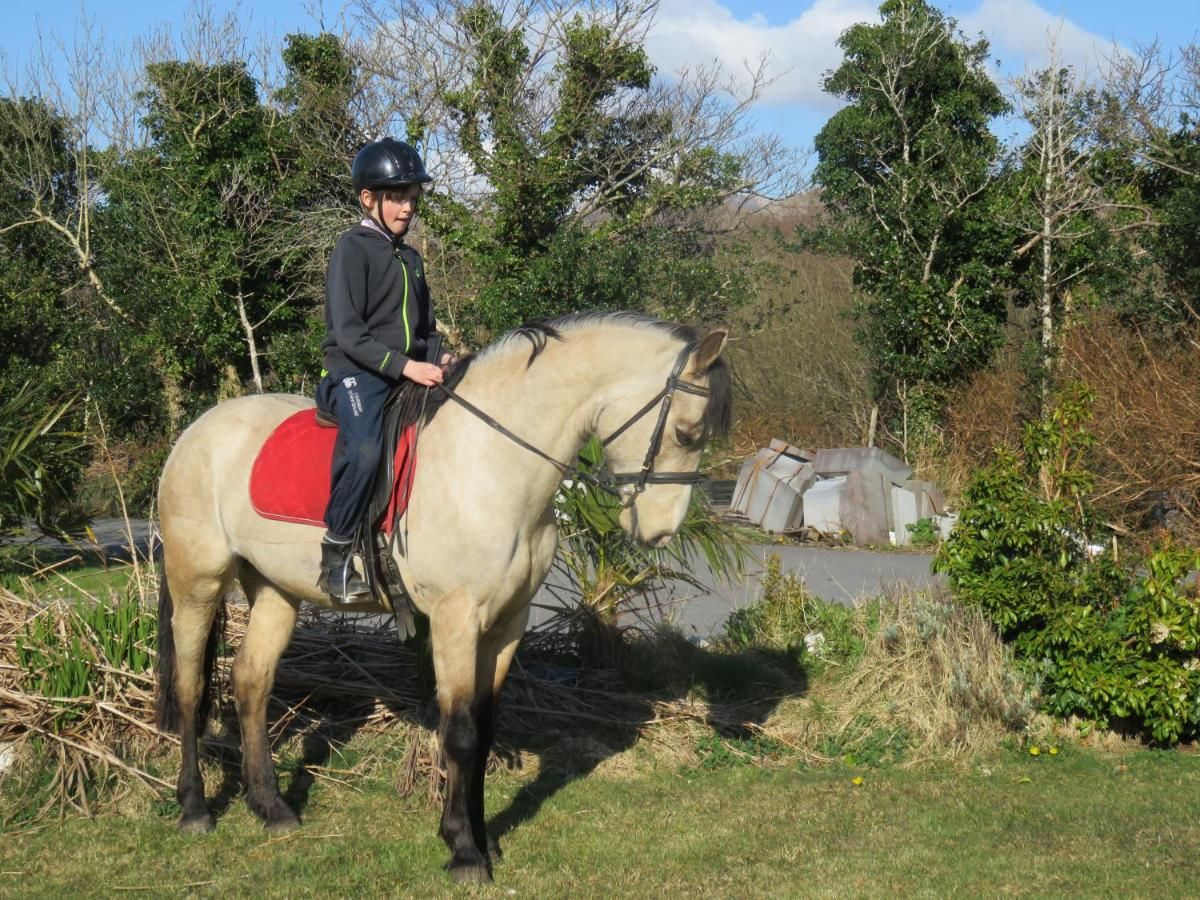 Дома для отпуска Letterfrack Farm Lodge house in Letterfrack village Connemara Леттерфрак