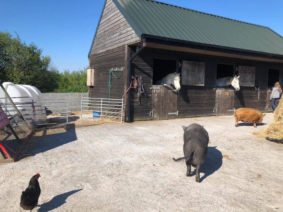 Дома для отпуска Letterfrack Farm Lodge house in Letterfrack village Connemara Леттерфрак-11