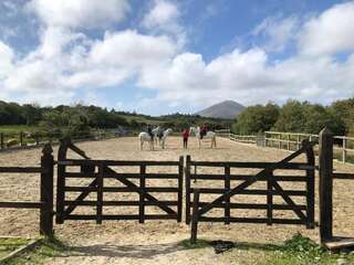 Дома для отпуска Letterfrack Farm Lodge house in Letterfrack village Connemara Леттерфрак-4